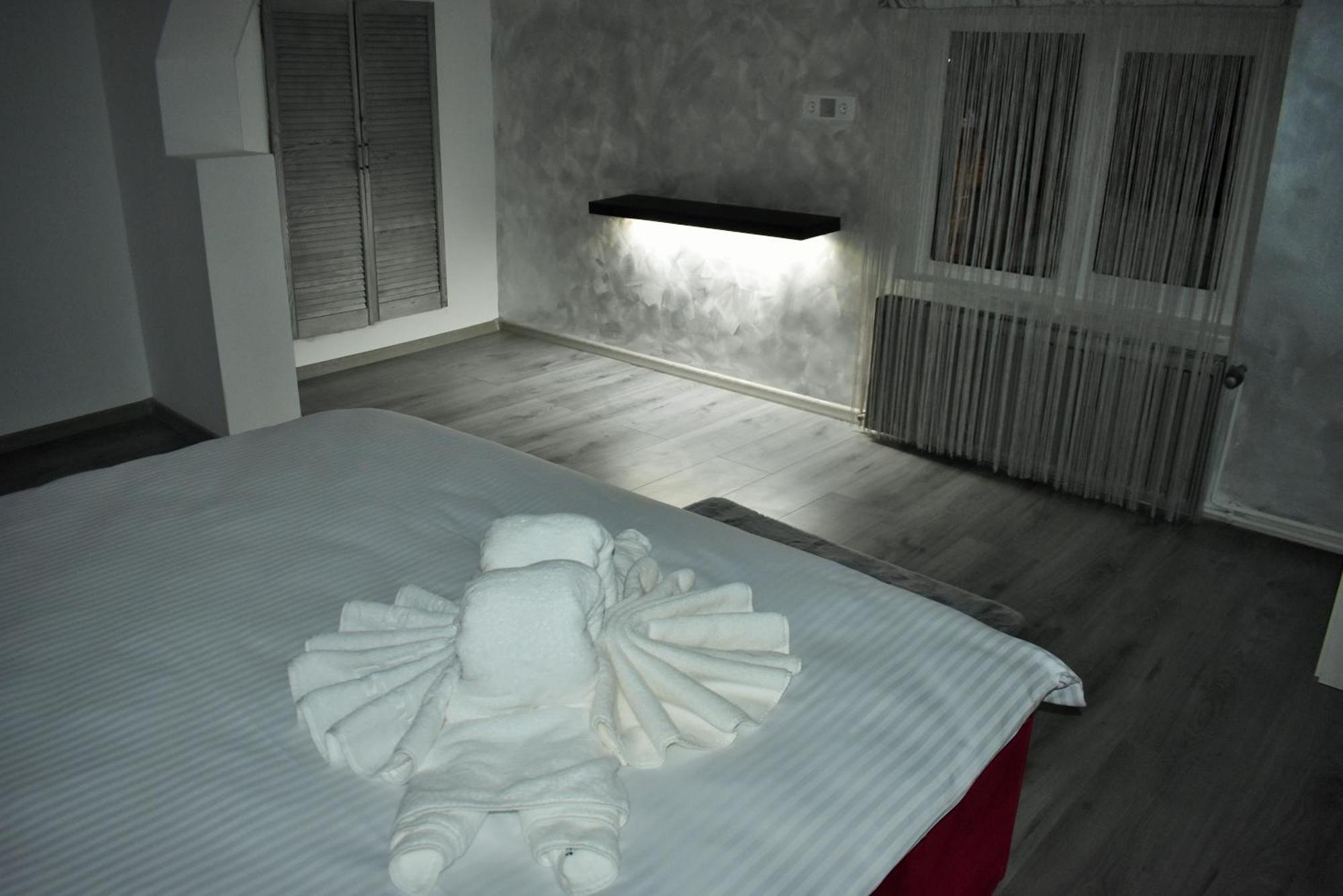 Guest house Pensiunea Ober *